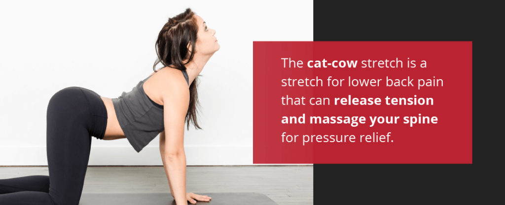 Cat Cow Stretch