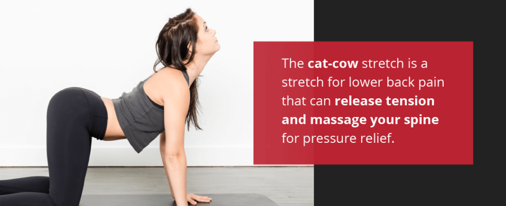 Cat stretch discount for back pain